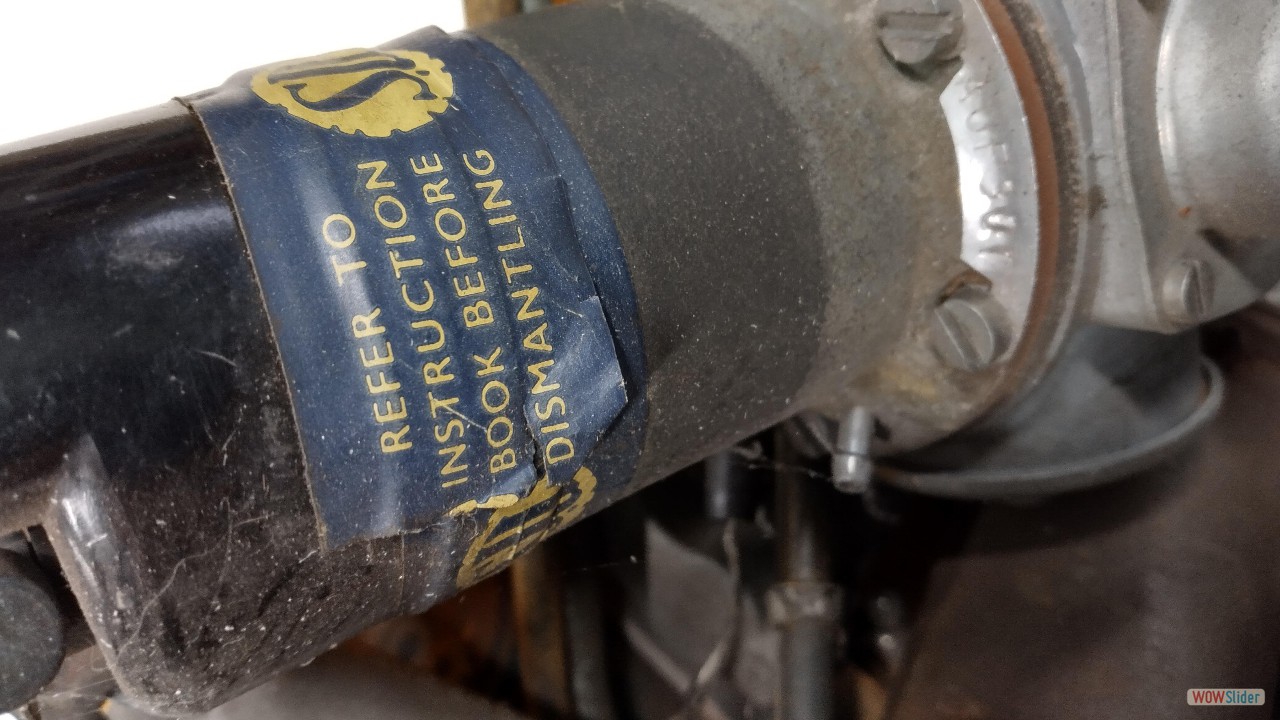 IMG_20250818_153101_MP copy