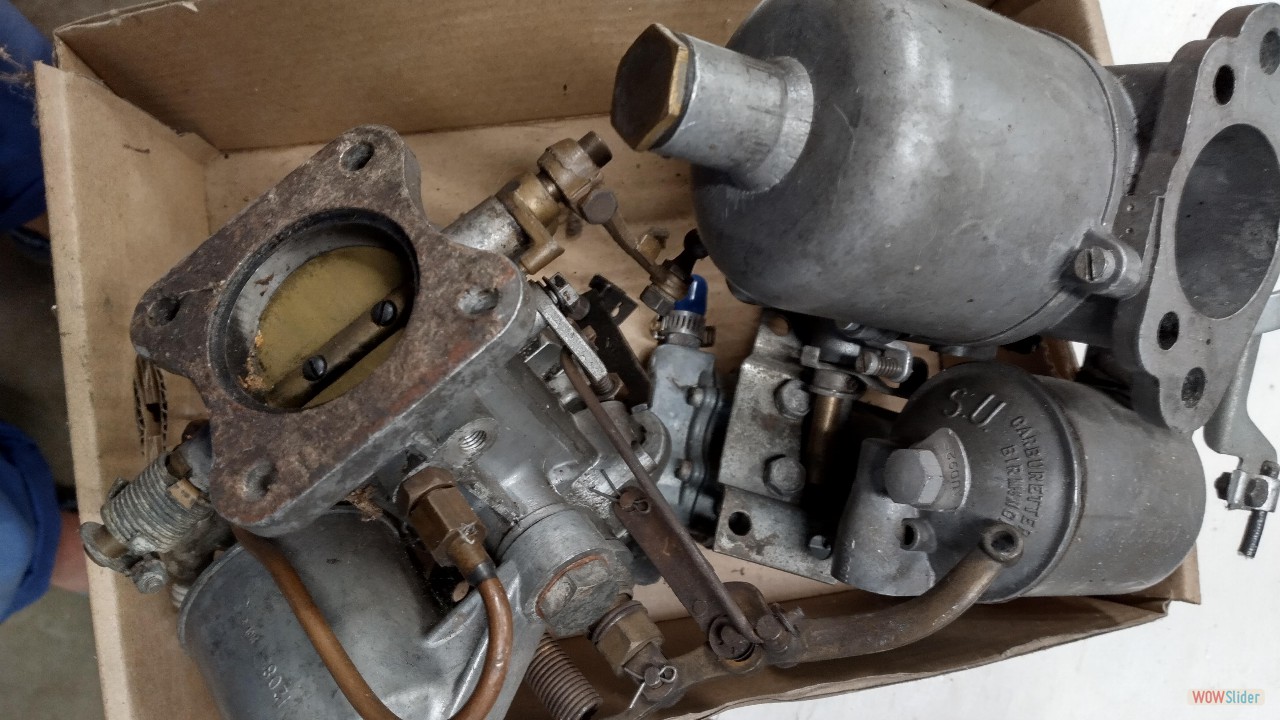 IMG_20250818_153204_MP copy